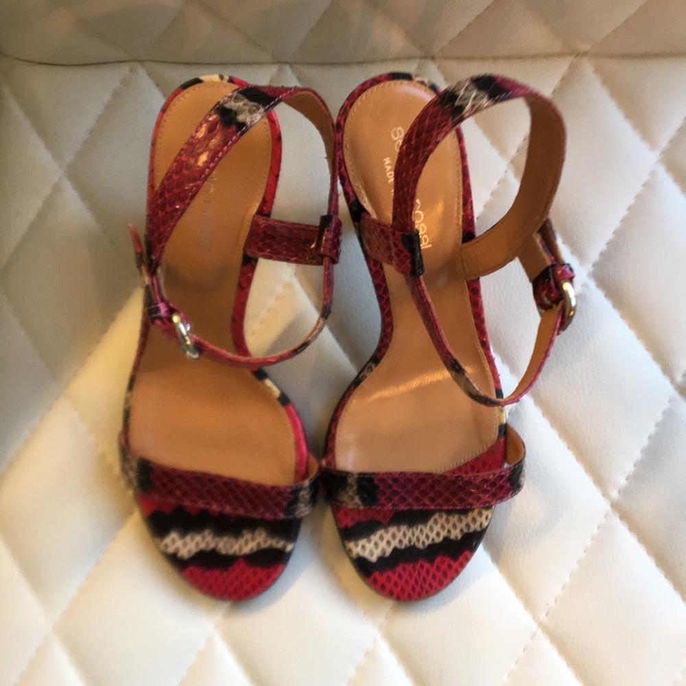 Sergio Rossi Python Heels - image 2